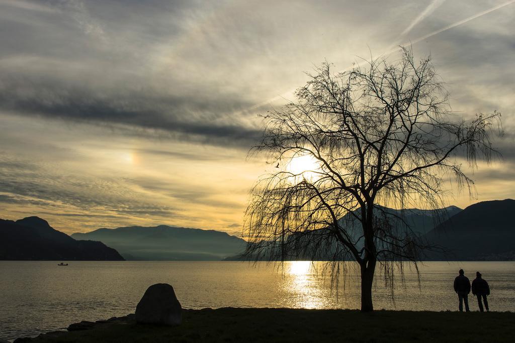 Bellavista Giulia On Lake Como 德尔维奥 外观 照片